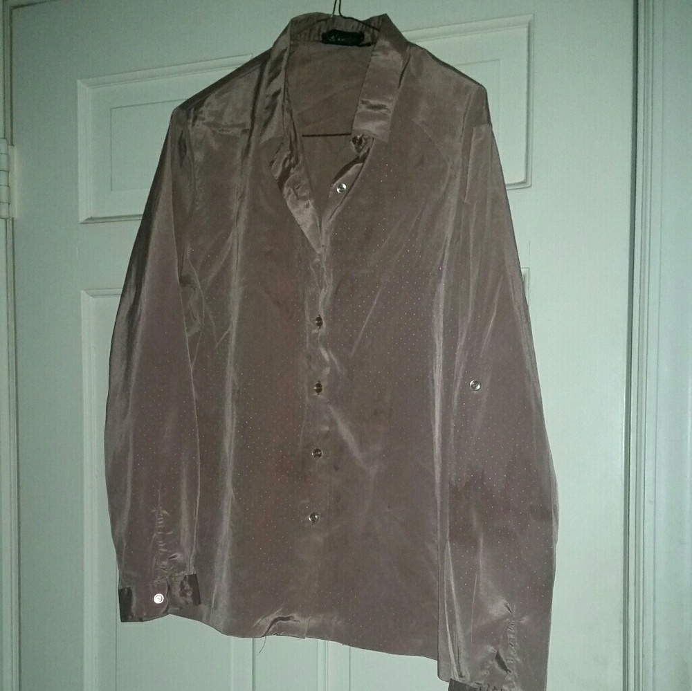 Panther Vintage Brown LlBlouse Size 12